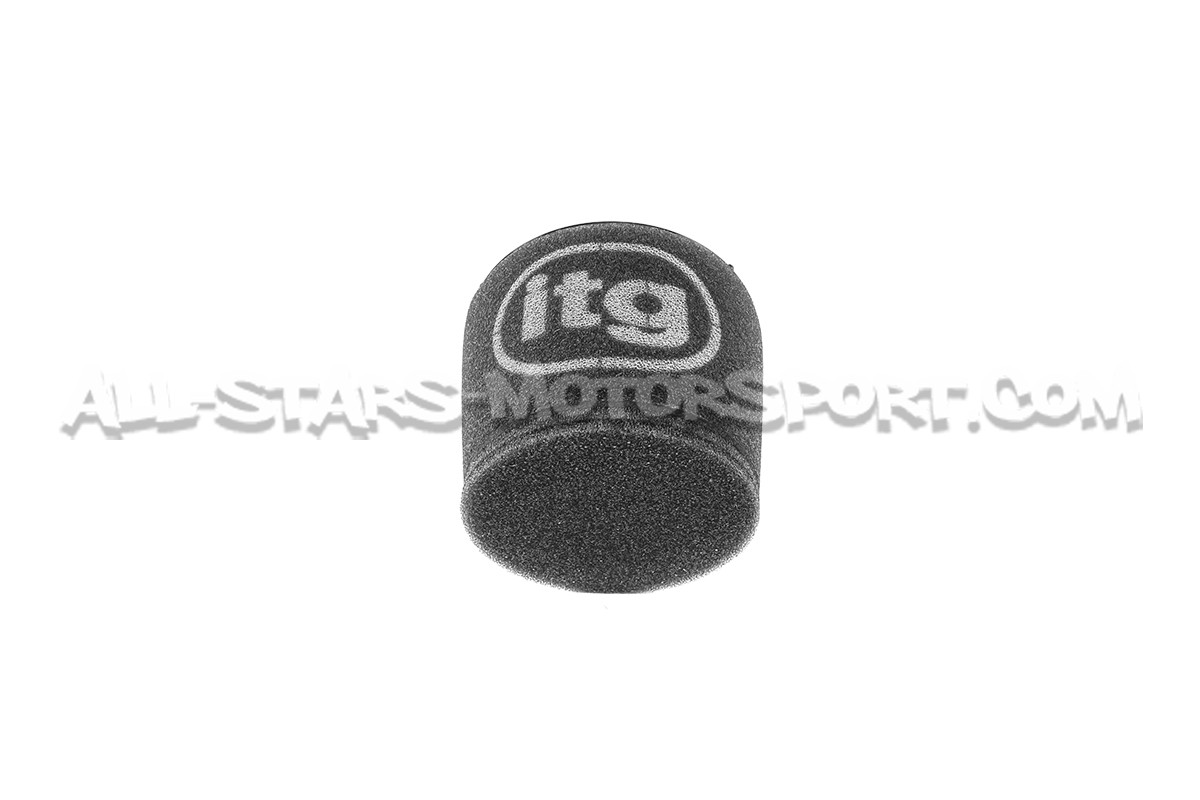 Filtre a air sport ITG Profilter pour Audi S4 / S5 B9