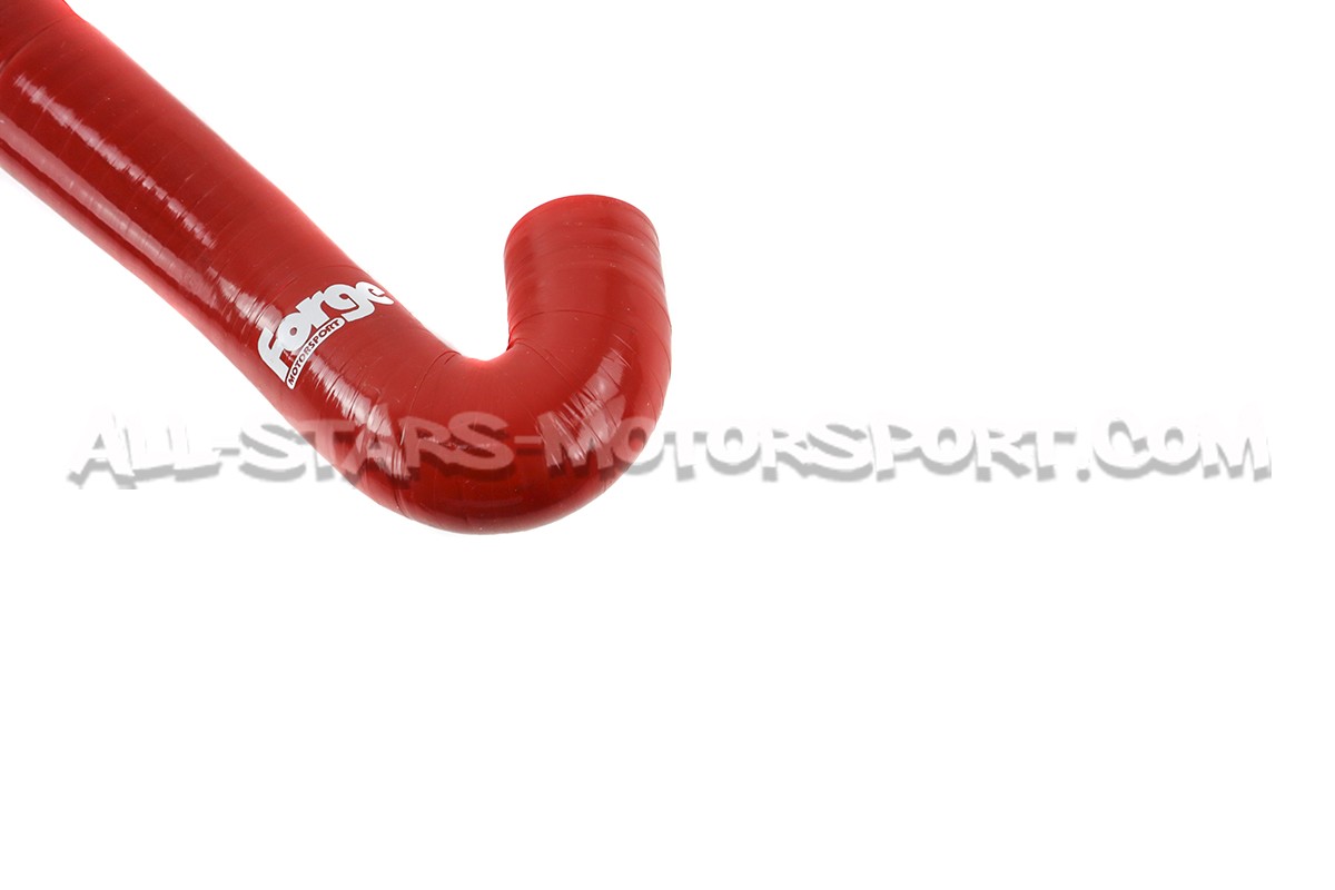 Audi S3 / TT 8N / Leon 1M 1.8T Forge N75 and dump valve silcone hoses
