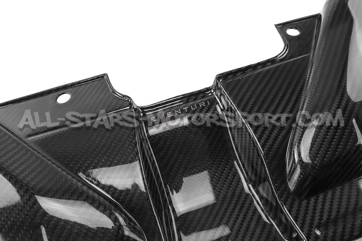 Audi RS5 8T Eventuri Carbon Fiber Slam Panel Cover