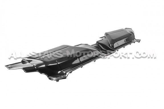 Audi RS5 8T Eventuri Carbon Fiber Slam Panel Cover