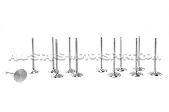 Ferrea Competition Plus Engine Valves x12 for Golf 3 VR6