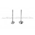 Ferrea Competition Plus Engine Valves x12 for Golf 3 VR6