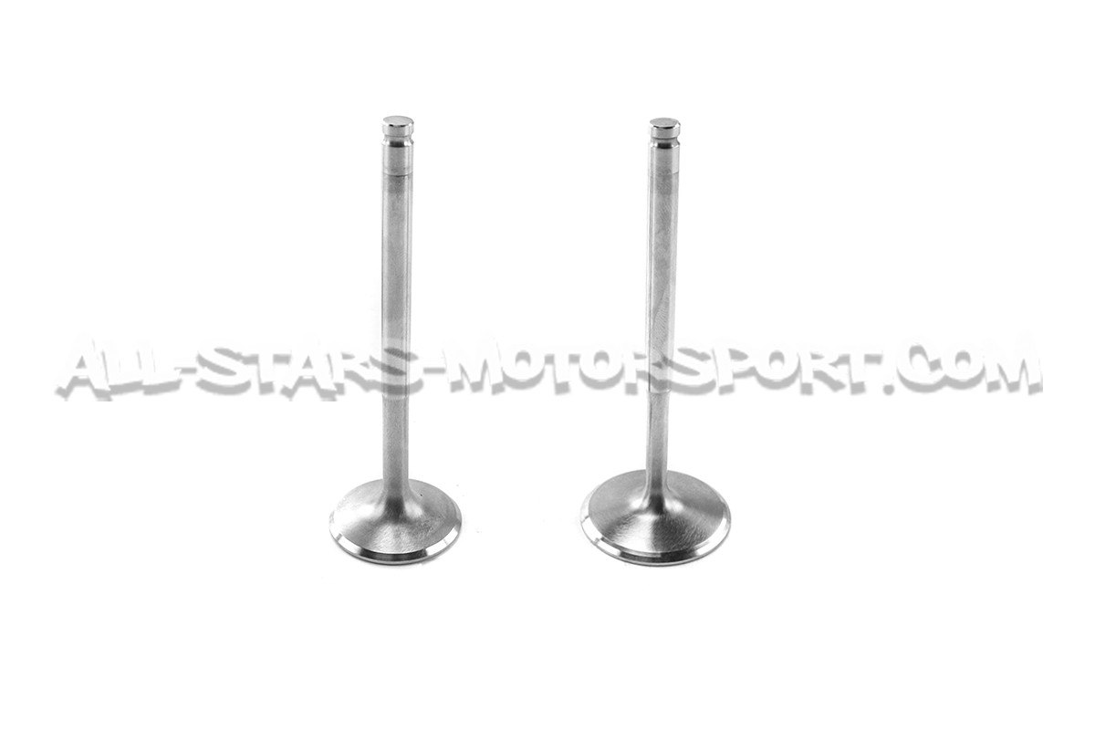 Ferrea Competition Plus Engine Valves x12 for Golf 3 VR6