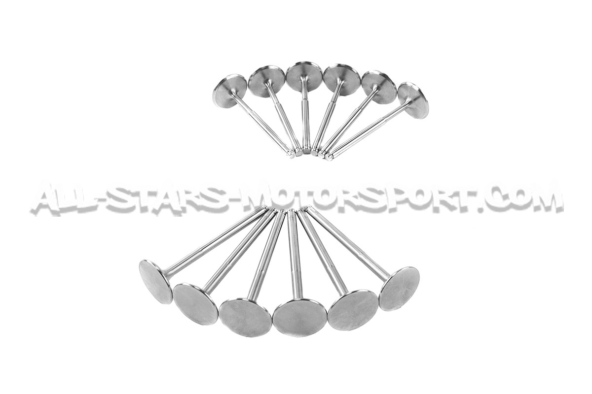 Ferrea Competition Plus Engine Valves x12 for Golf 3 VR6