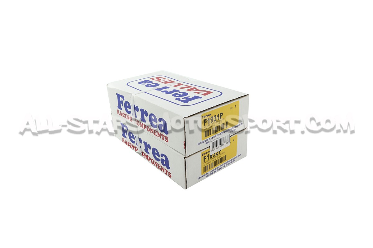Ferrea Competition Plus Engine Valves x12 for Golf 3 VR6