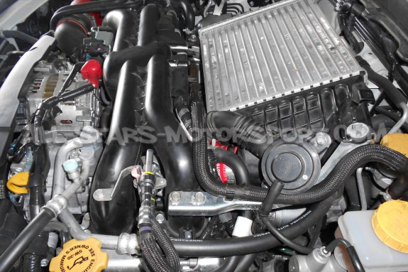 Audi S4 Mishimoto Silicone Throttle Body Hose