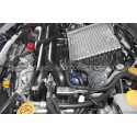 Manguera de Mariposa Mishimoto Audi S4 B5