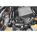 Audi S4 Mishimoto Silicone Throttle Body Hose