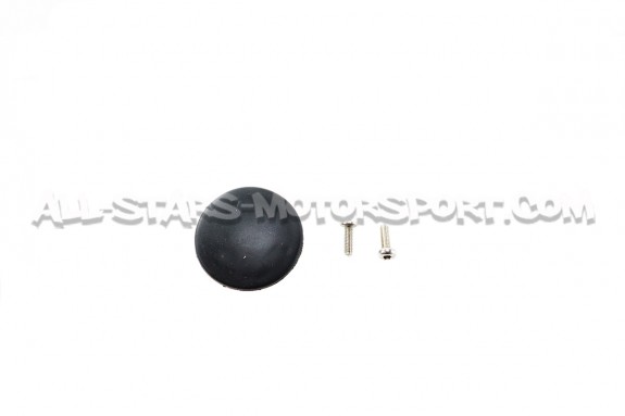 Admision de carbono Eventuri para BMW 135i / 235i F40