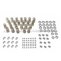 Kit de muelles y copelas de valvula Ferrea para Nissan R35 GTR