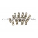 Kit de muelles y copelas de valvula Ferrea para Audi S4 / RS4 B5