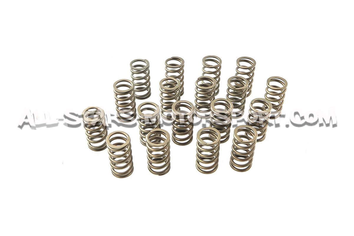 Ferrea Valve Springs and Retainers Kit for Audi S4 / RS4 B5
