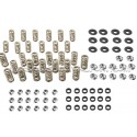 Ferrea Valve Springs and Retainers Kit for Audi S4 / RS4 B5