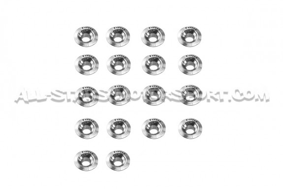 Ferrea Valve Springs and Retainers Kit for Audi S4 / RS4 B5