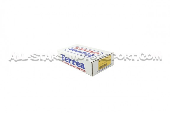 Ferrea Valve Springs and Retainers Kit for Audi S4 / RS4 B5