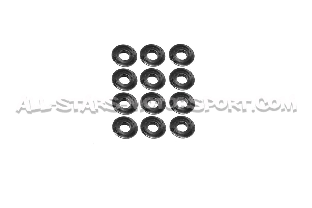 Ferrea Valve Springs and Retainers Kit for Audi S4 / RS4 B5