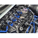 APR Blue Coil Packs for S3 8V / S3 8Y / Golf 7 GTI / Golf 8 R / Leo...