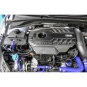 Decantador de aceite catch can / vaso de expansión Forge Motorsport...