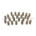 Ferrea Valve Springs and Retainers Kit for BMW 140i / 240i / 340i /...