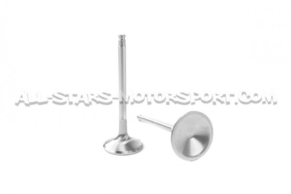 Ferrea Competition Plus Engine Valves x24 for Golf 5 R32 / A3 3.2 /...