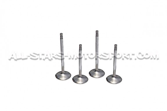 Kit de 24 soupapes Ferrea Competition Plus pour Golf 5 R32 / A3 3.2...