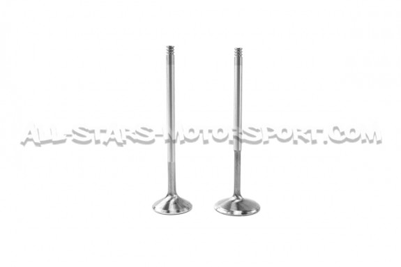Kit de 24 soupapes Ferrea Competition Plus pour BMW M3 E46