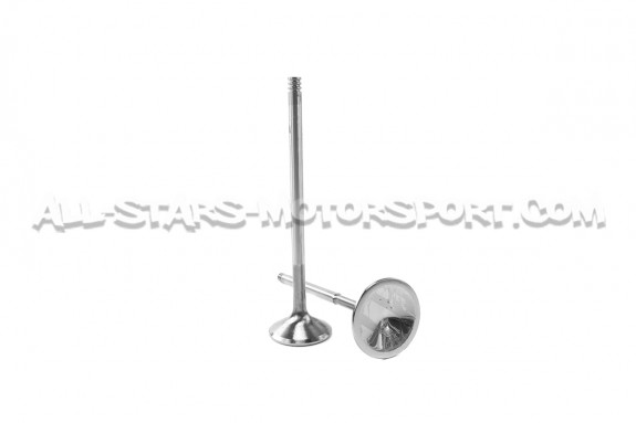 Kit de 24 valvulas Ferrea Competition Plus para BMW M3 E46