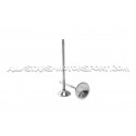 Ferrea Competition Plus Engine Valves x24 for BMW M3 E46