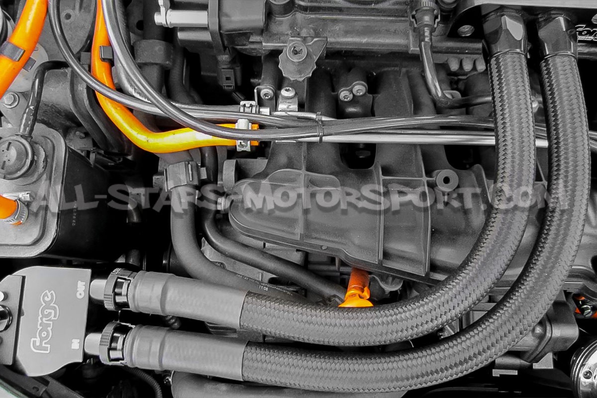 Decantador de aceite catch can Forge Motorsport para Golf 5 GTI