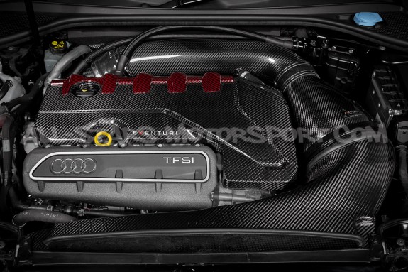 Audi RS3 8V.5 / TTRS 8S and RS3 8Y Eventuri Carbon Fiber / Red Kevl...