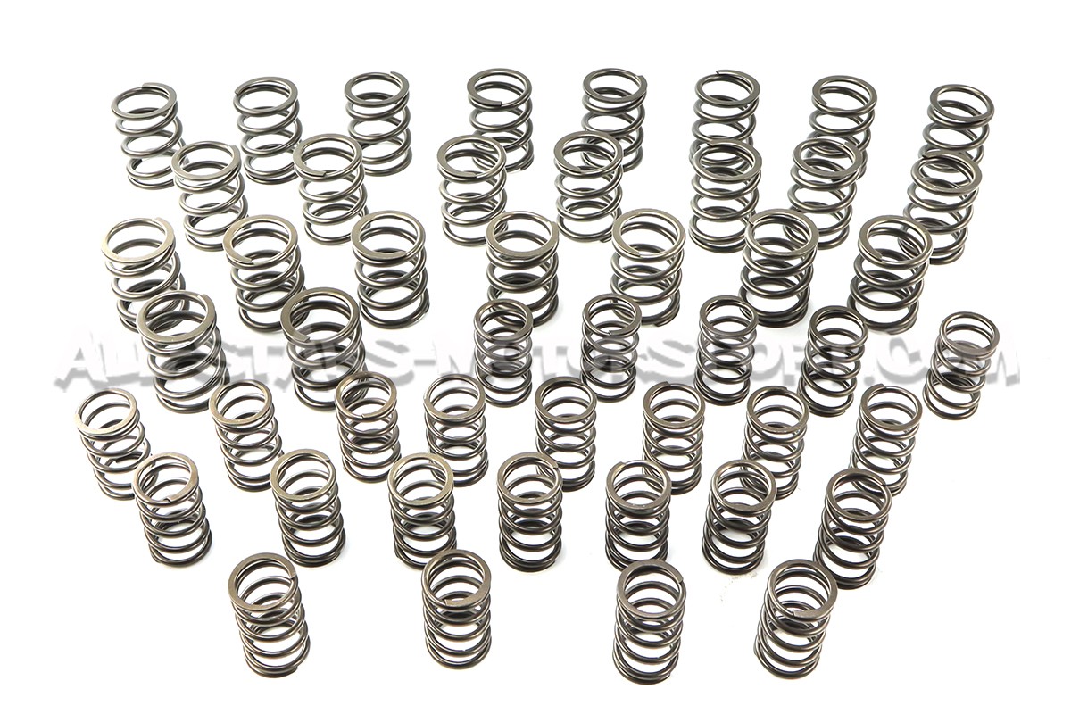 Kit de muelles y copelas de valvula Ferrea para BMW M3 E46