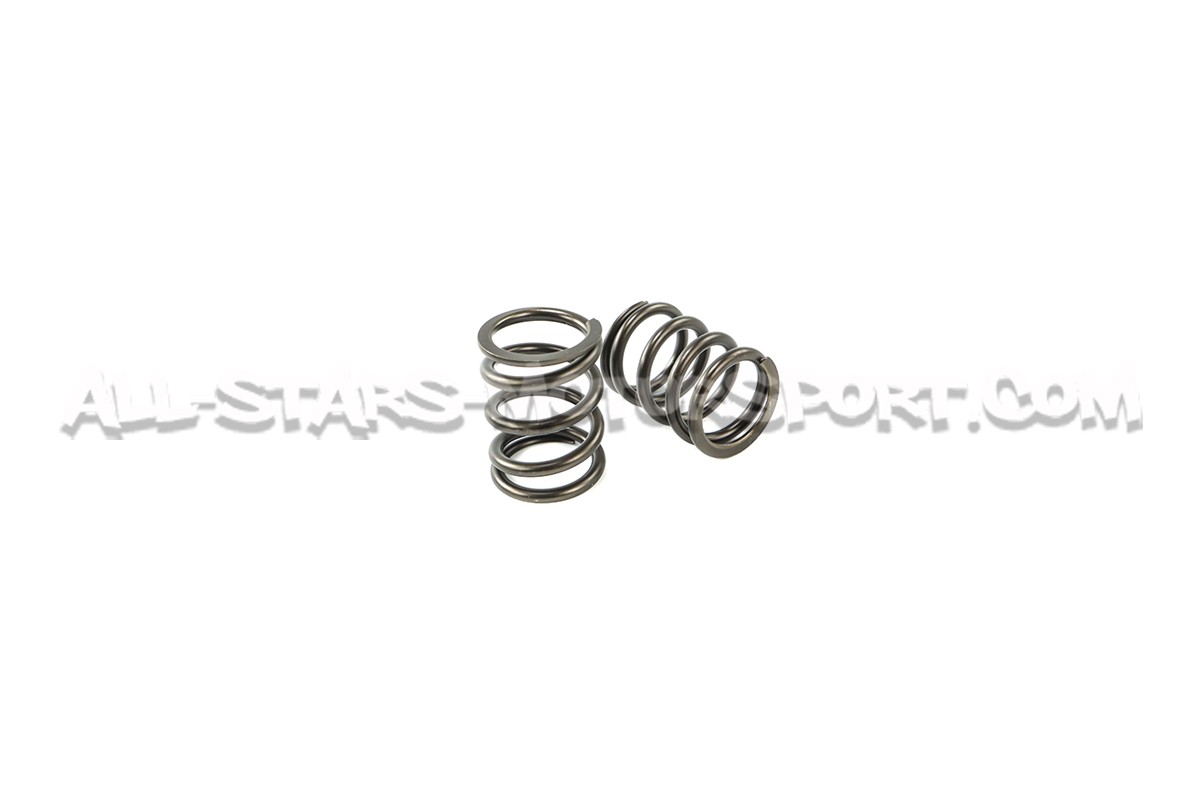Ferrea Valve Springs and Retainers Kit for BMW M3 E46
