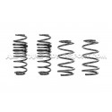 Kit ressorts courts Racingline -30mm pour Polo AW GTI