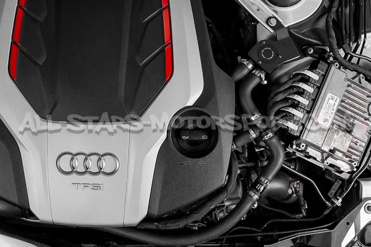 Decantador de aceite catch can Mishimoto para Audi S4 / S5 B9