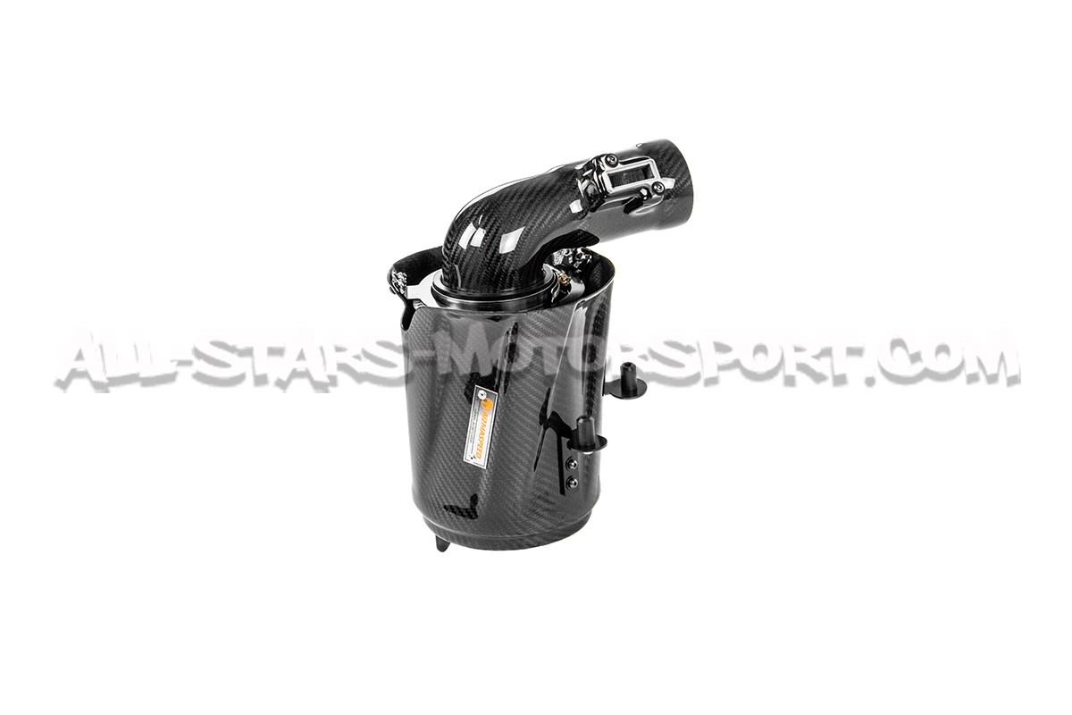 Ford Fiesta ST Mk7 180 Armaspeed Carbon Fiber Air Intake