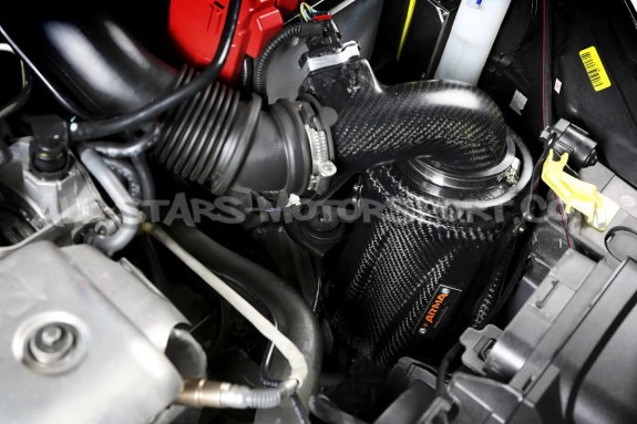 Admission carbone Armaspeed pour Ford Fiesta ST Mk7