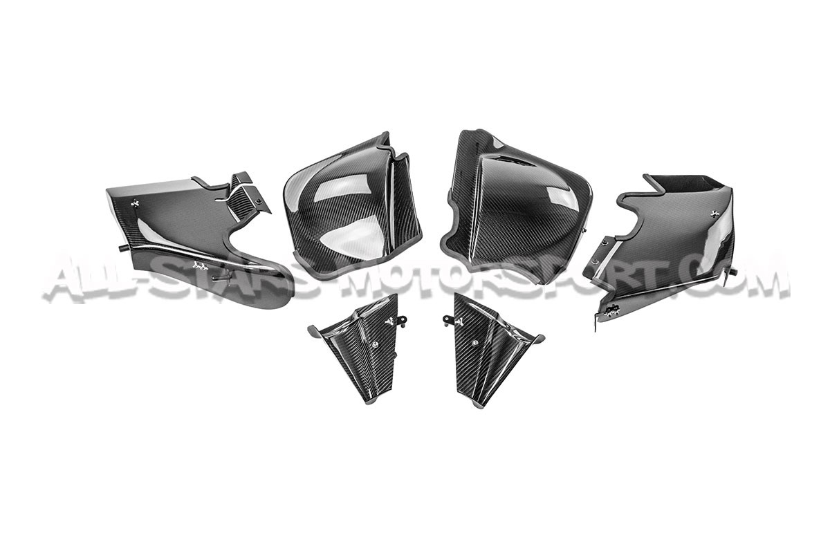 BMW M3 F80 / M4 F8x / M2 Comp F87 Armaspeed Carbon Fiber Air Intake