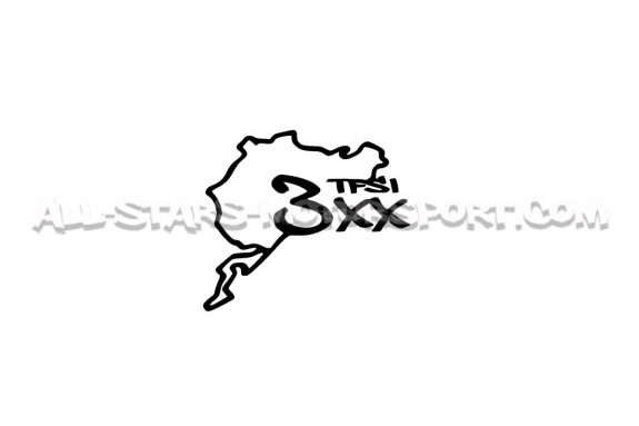 TFSI 3xx Red, White or Black Sticker
