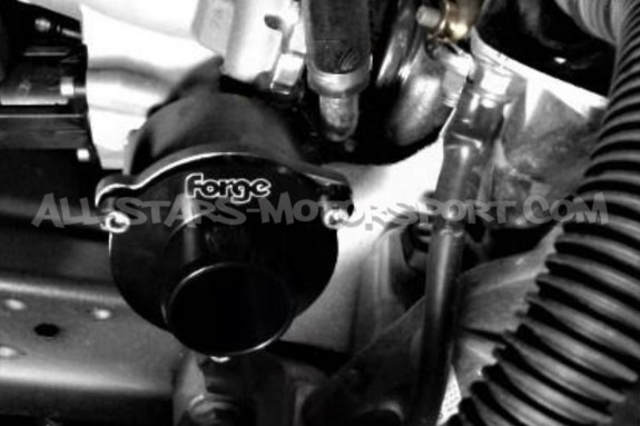 Golf 8 GTI / Octavia NX RS 2.0 TSI Forge Motorsport Turbo Muffler D...