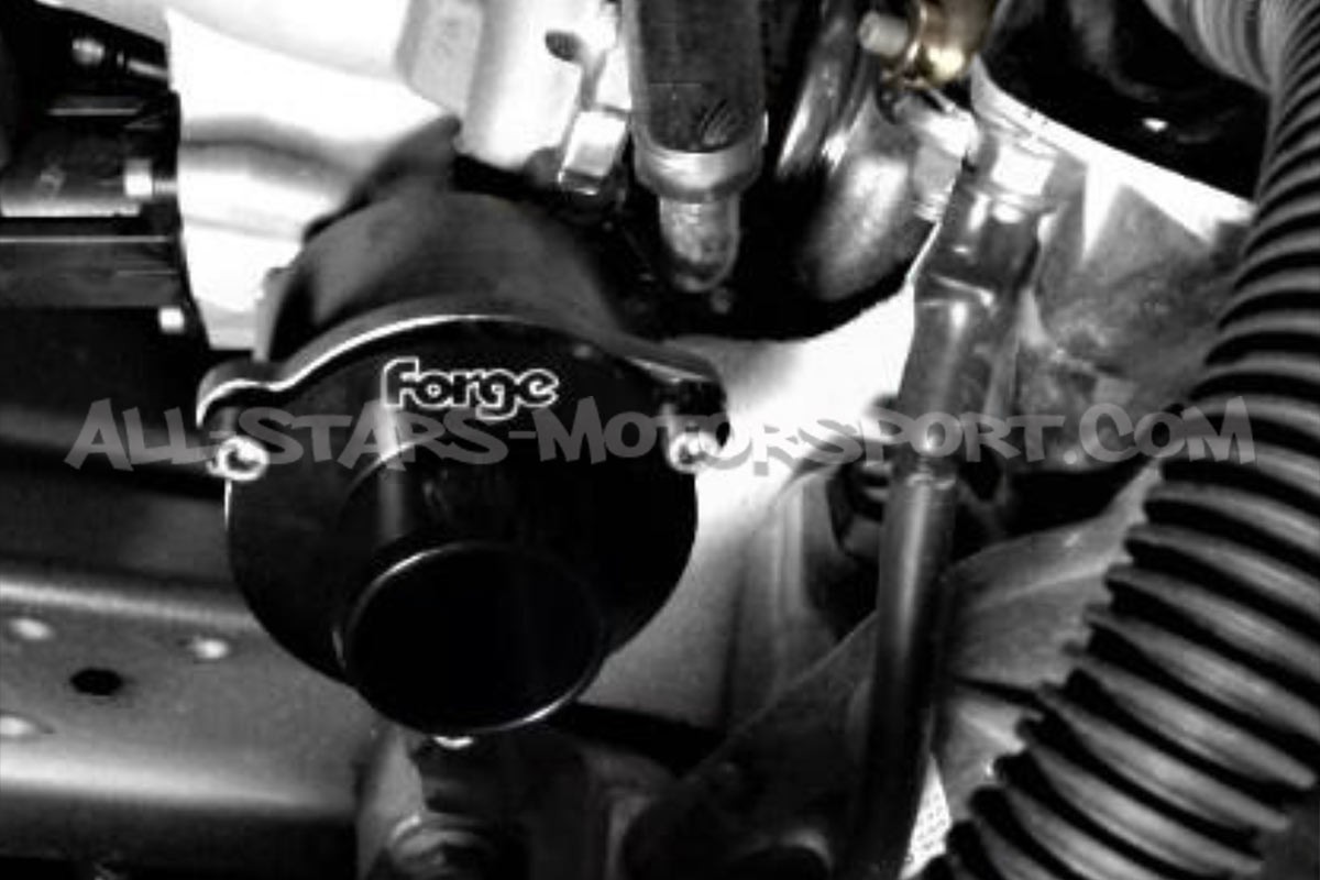 Golf 8 GTI / Octavia NX RS 2.0 TSI Forge Motorsport Turbo Muffler D...