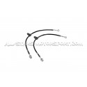 Latiguillos de freno metalicos Goodridge para Ford Focus 4 ST
