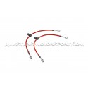 Flexibles de frein aviation Goodridge pour Ford Focus 4 ST