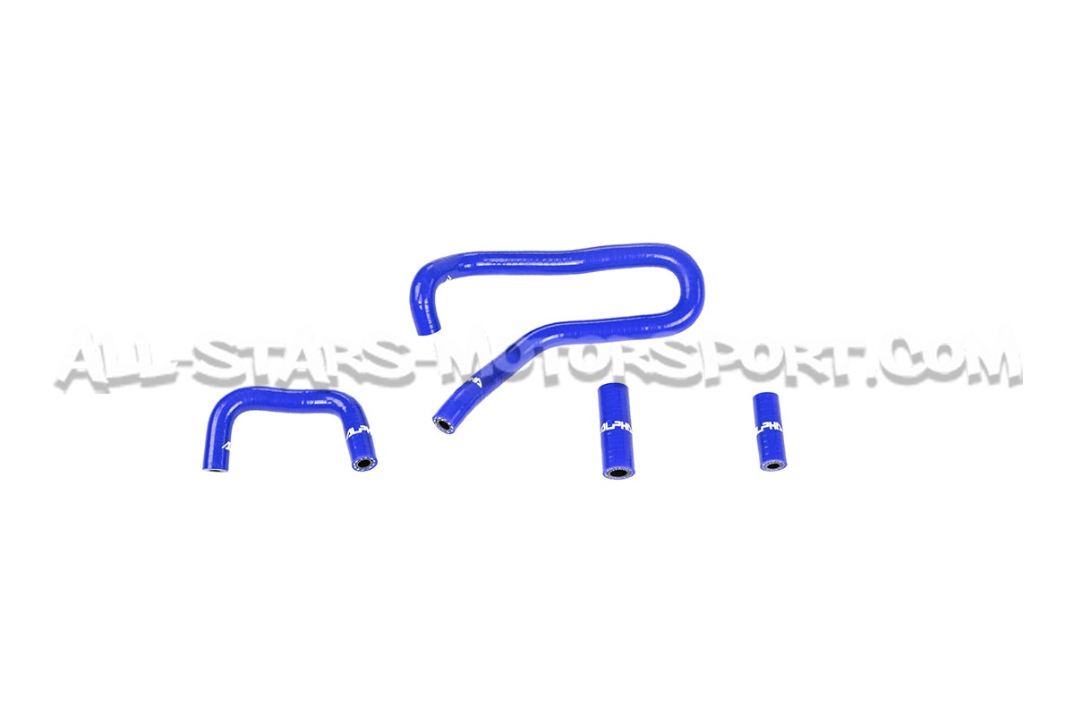 S3 8P / Golf 5 GTI / Golf 6 R / Leon 2 Cupra 2.0 TFSI Alpha Competi...