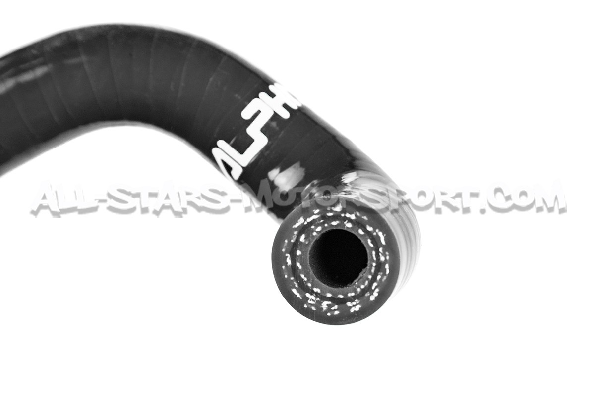Durites de canister silicone Alpha Competition pour S3 8P / Golf 5 ...