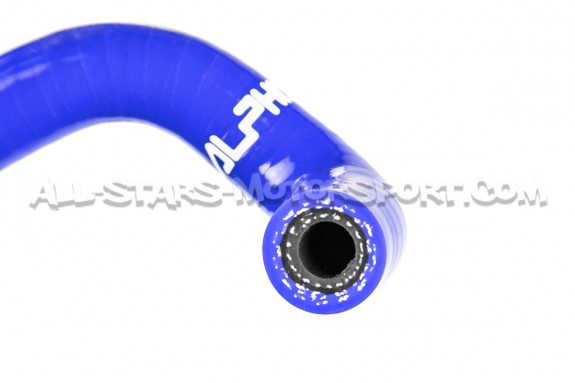 Mangueras de canister Alpha Competition para S3 8P / Golf 5 GTI / G...