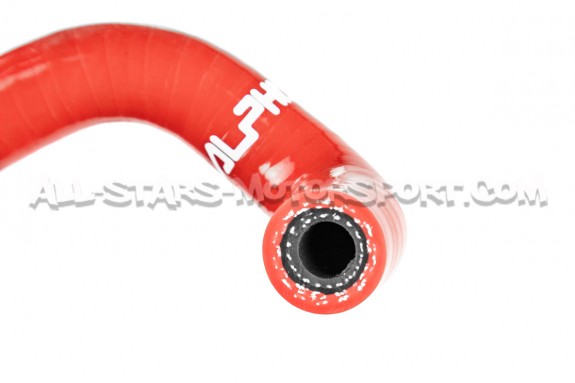 Durites de canister silicone Alpha Competition pour S3 8P / Golf 5 ...