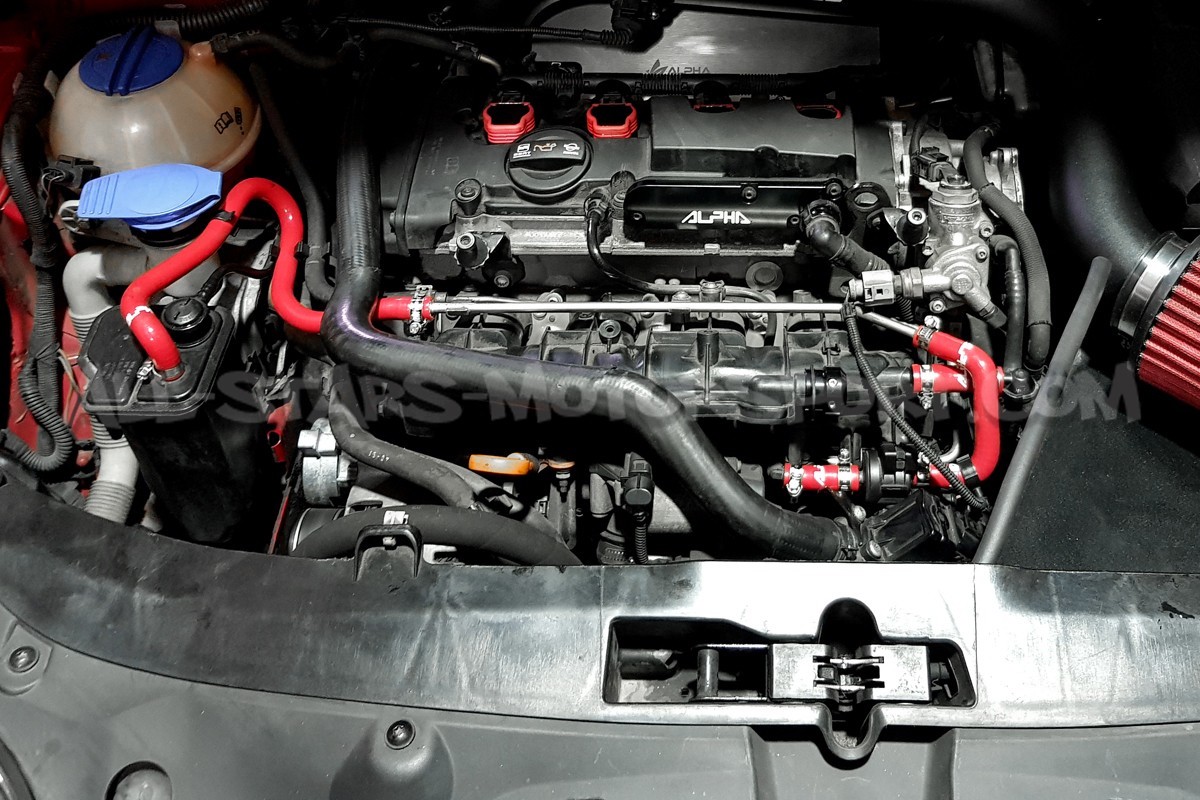 S3 8P / Golf 5 GTI / Golf 6 R / Leon 2 Cupra 2.0 TFSI Alpha Competi...