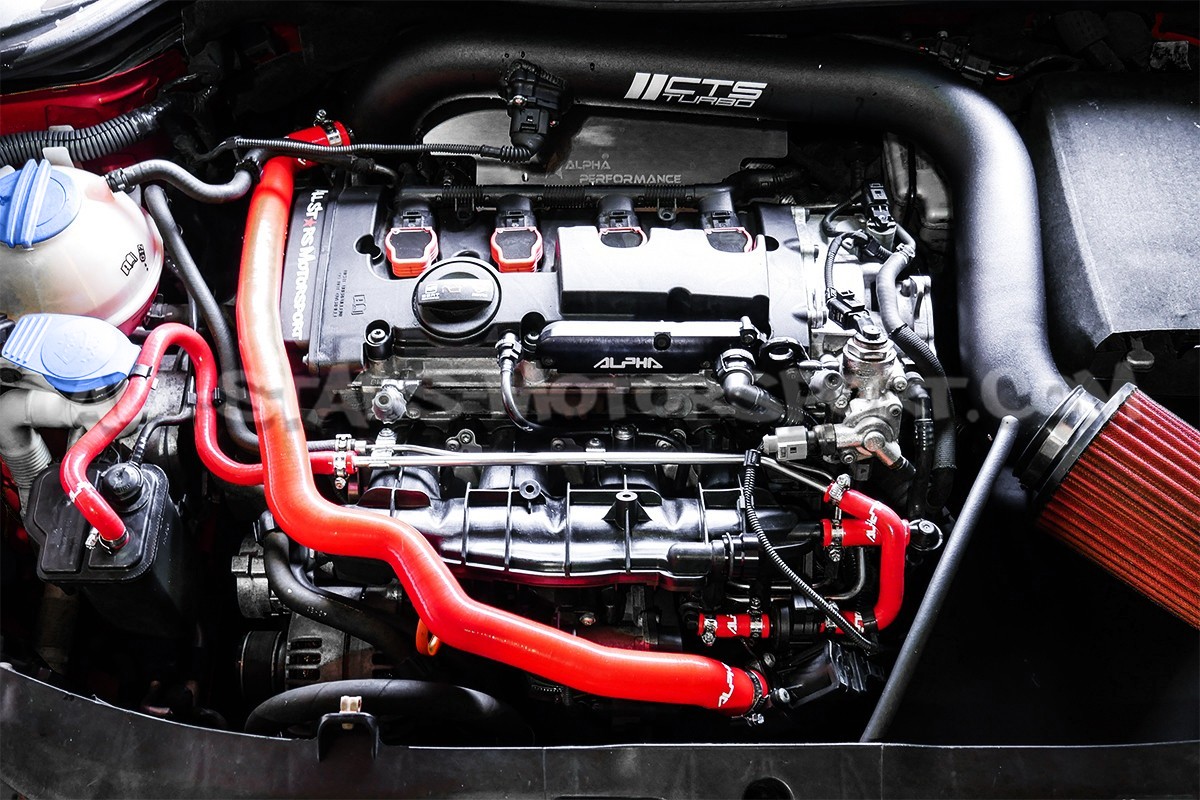 S3 8P / Golf 6 R / Leon 2 Cupra / Scirocco R 2.0 TFSI EA113 Alpha C...