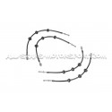 Latiguillos de freno metalicos Goodridge para Audi A4 B8 / A5 8T 2....