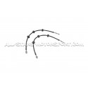 Latiguillos de freno metalicos Goodridge para Audi A4 B8 / A5 8T 2....
